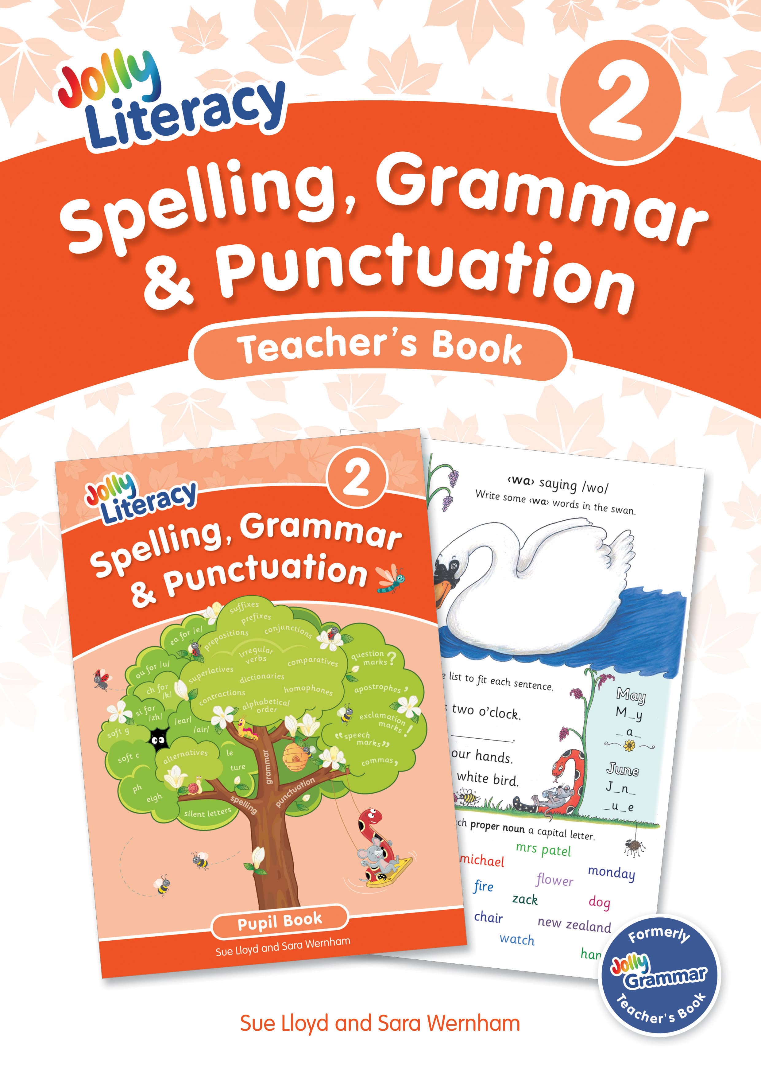 Jolly Literacy Teacher's Book 2 (Spelling, Grammar & Punctuation)
