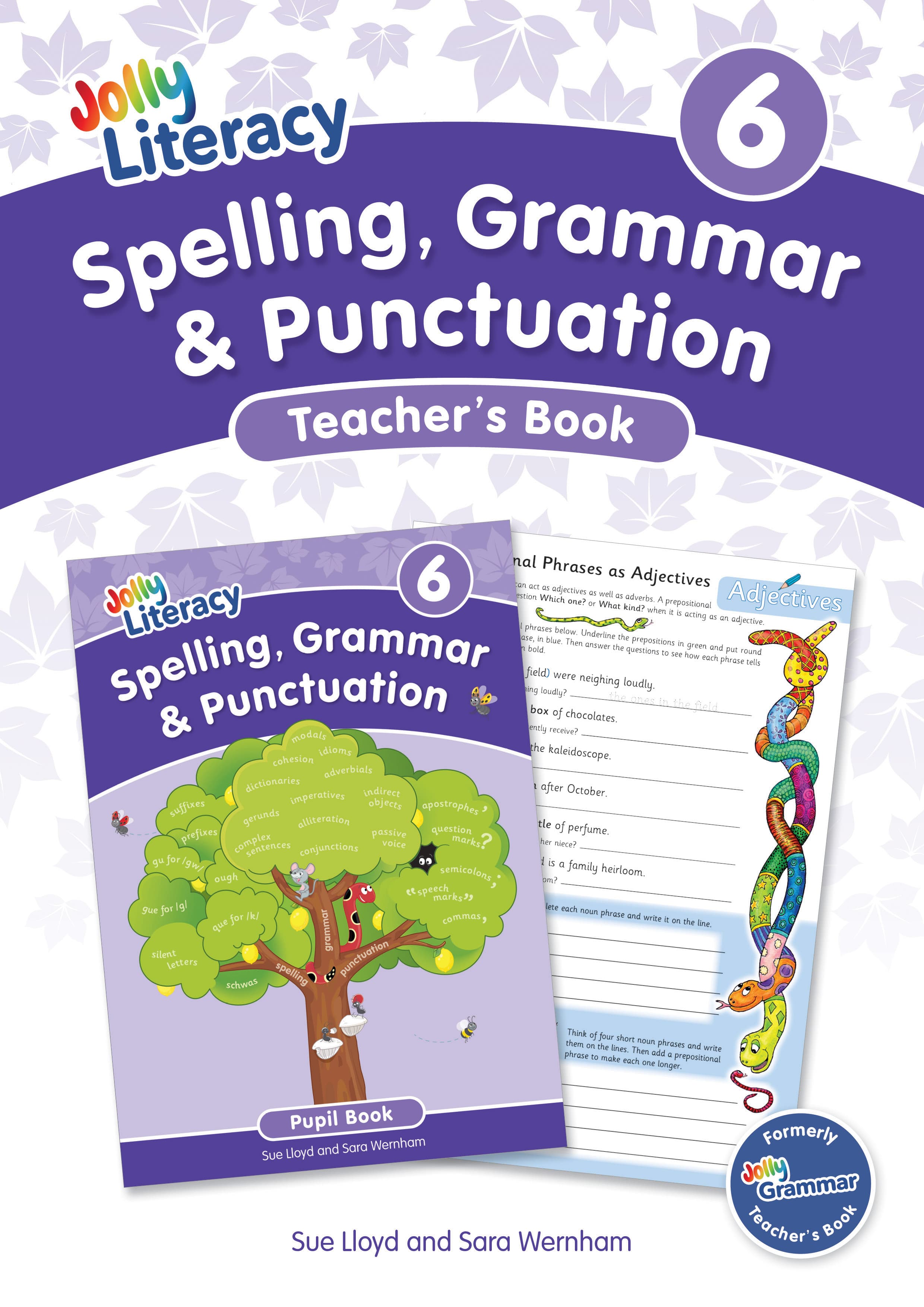 Jolly Literacy Teacher's Book 6 (Spelling, Grammar & Punctuation)